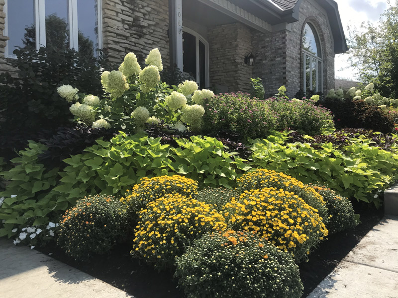 Mulch & Stone goMulch